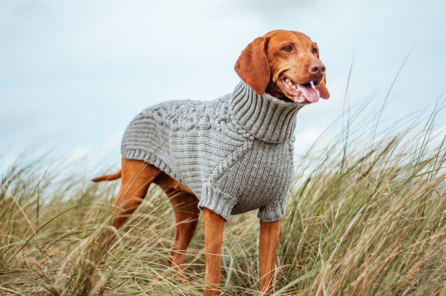 Dog sweater HYGGE for Vizsla