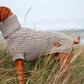 Dog sweater HYGGE for Vizsla