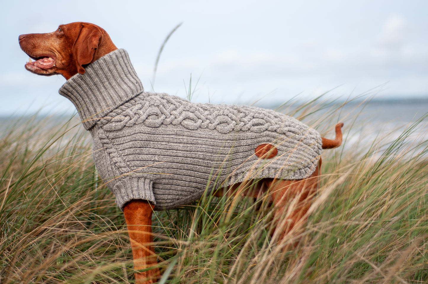 Dog sweater HYGGE for Vizsla