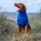 Dog sweater HYGGE for Vizsla