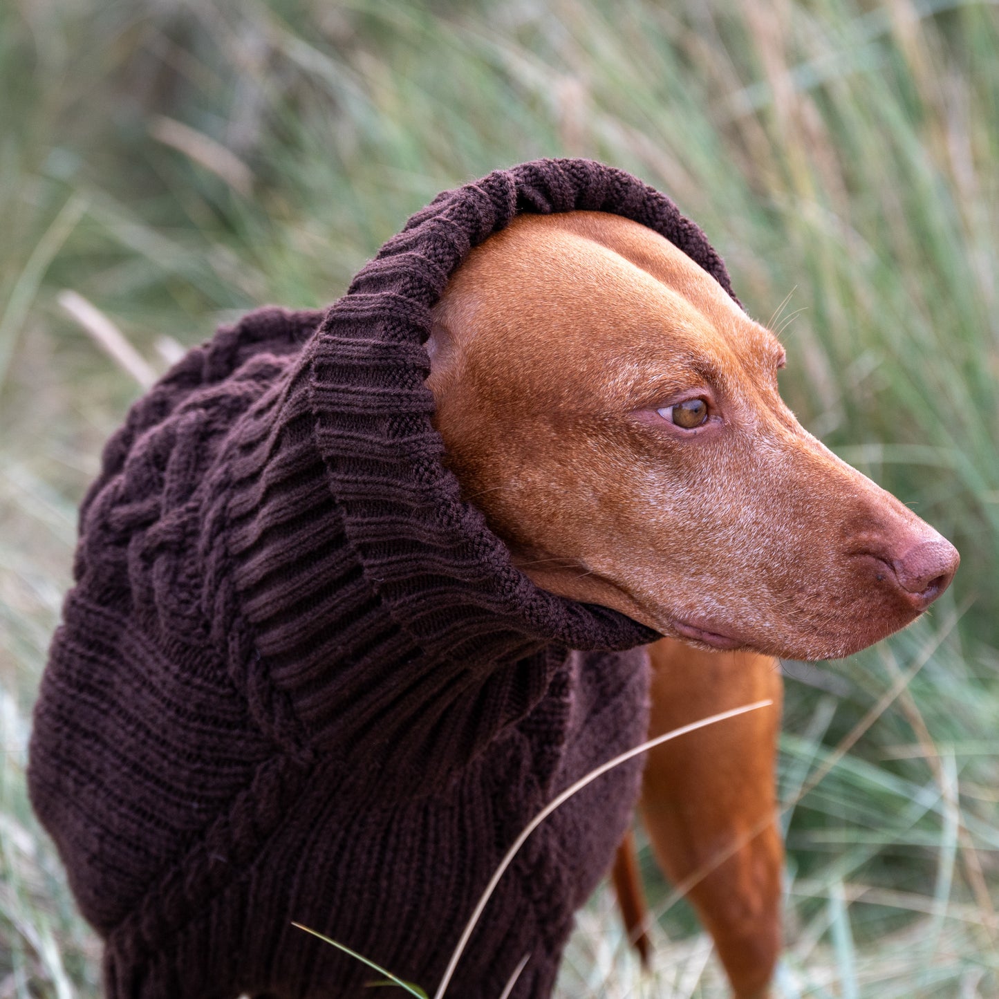 Dog sweater HYGGE for Vizsla