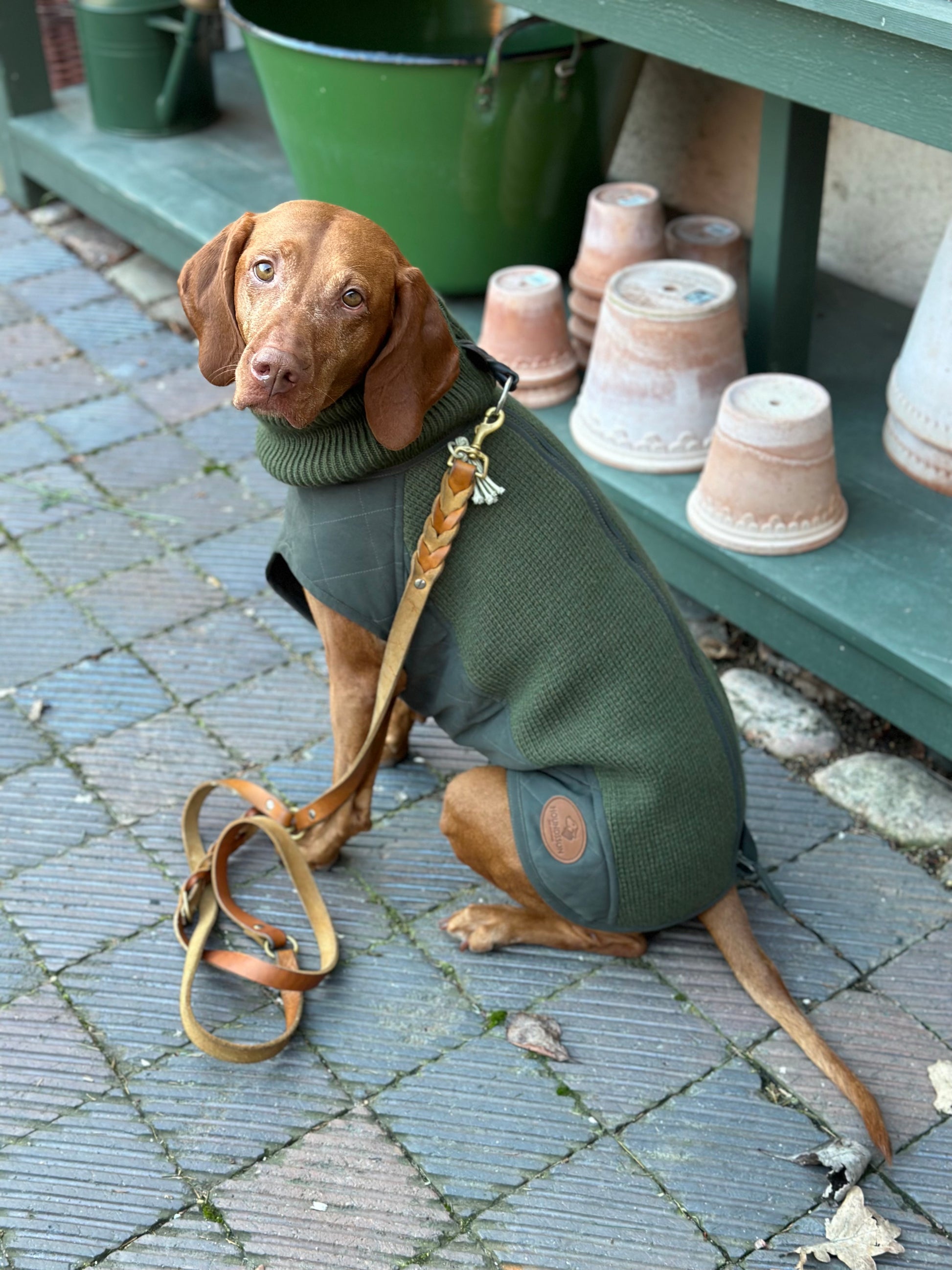 Dog Vest Vizsla Chest Size Dog Hunting Vest Vizsla GSP Field Vest